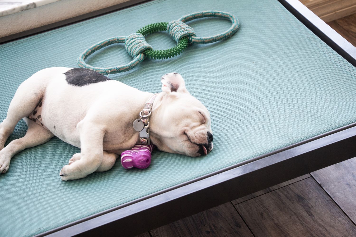 Sling Dog Bed A&K Enterprise of Manatee, Inc.